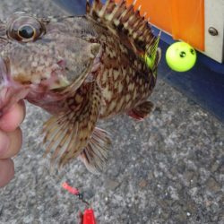 がまかつ うきまろはとにかく便利で使いやすい！