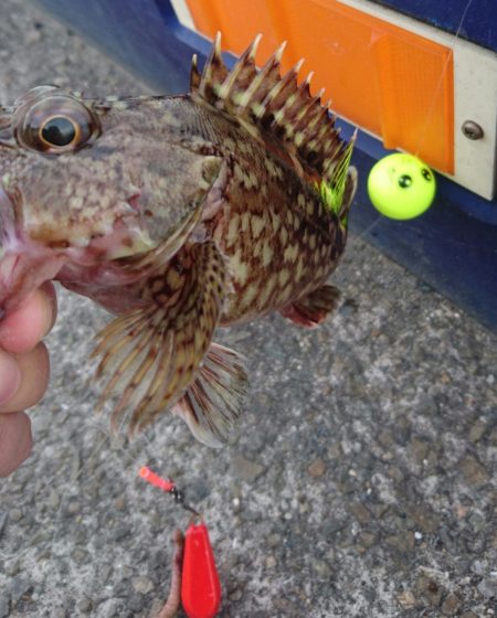 がまかつ うきまろはとにかく便利で使いやすい！