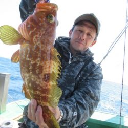 真祐丸 (しんゆうまる) 釣果