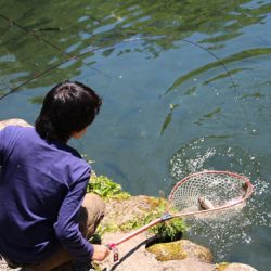 小菅トラウトガーデン 釣果