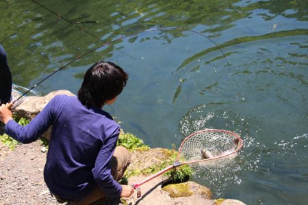 小菅トラウトガーデン 釣果