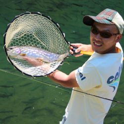 小菅トラウトガーデン 釣果