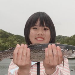 フィッシングレイクたかみや 釣果