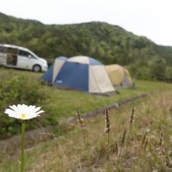 フィッシングレイクたかみや 釣果