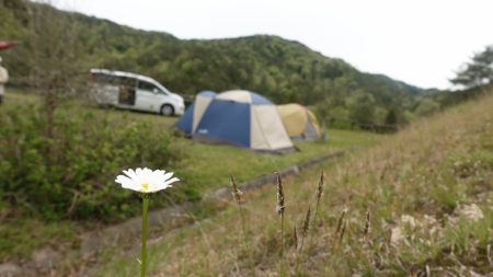 フィッシングレイクたかみや 釣果