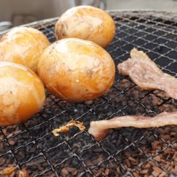 フィッシングレイクたかみや 釣果