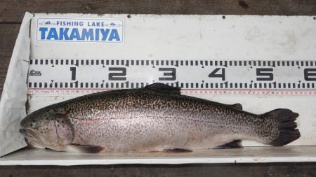フィッシングレイクたかみや 釣果