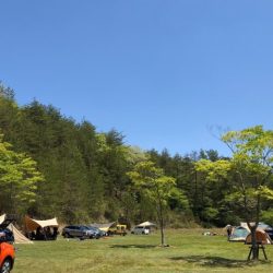 フィッシングレイクたかみや 釣果