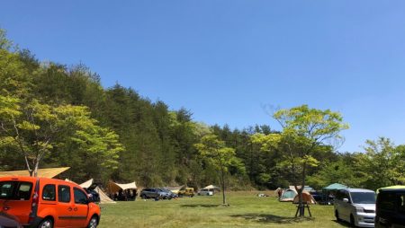 フィッシングレイクたかみや 釣果