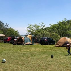 フィッシングレイクたかみや 釣果