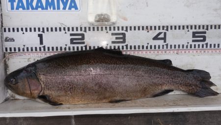 フィッシングレイクたかみや 釣果