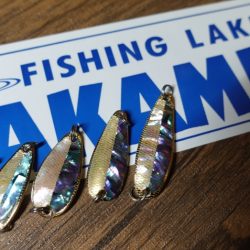 フィッシングレイクたかみや 釣果