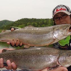 フィッシングレイクたかみや 釣果