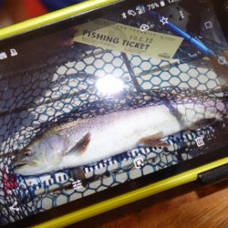 フィッシングレイクたかみや 釣果