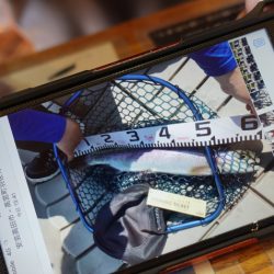 フィッシングレイクたかみや 釣果