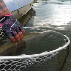 フィッシングレイクたかみや 釣果