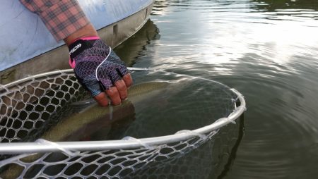 フィッシングレイクたかみや 釣果