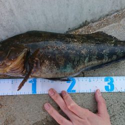 自立するうきまろくんの新たな可能性！