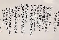 フィッシングボート空風(そらかぜ) 釣果