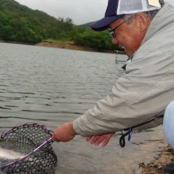 フィッシングレイクたかみや 釣果