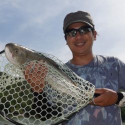 フィッシングレイクたかみや 釣果