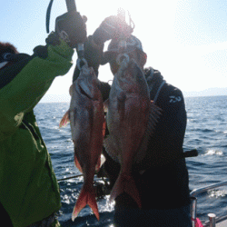 遊漁船ブルーウッズ 釣果