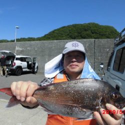 大進丸(新潟) 釣果