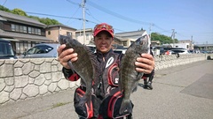 まこと渡船 釣果