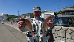 まこと渡船 釣果