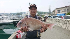 まこと渡船 釣果