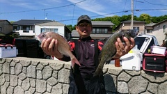 まこと渡船 釣果