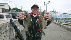 まこと渡船 釣果