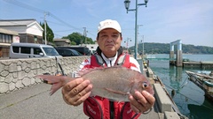 まこと渡船 釣果