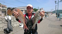 まこと渡船 釣果