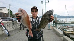 まこと渡船 釣果