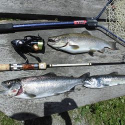 高萩ふれあいの里フィッシングエリア 釣果