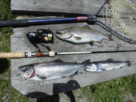 高萩ふれあいの里フィッシングエリア 釣果