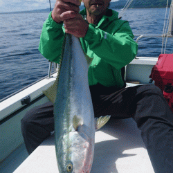 遊漁船ブルーウッズ 釣果