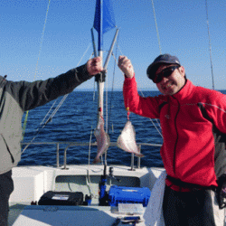 遊漁船ブルーウッズ 釣果