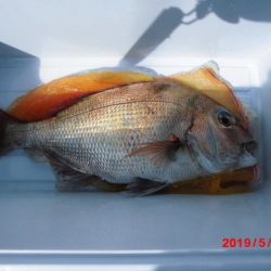 大進丸(新潟) 釣果