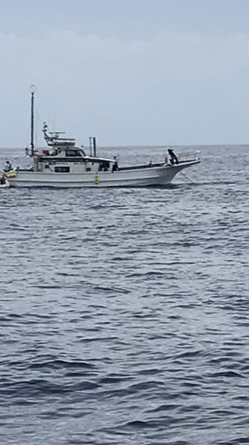 へいみつ丸 釣果