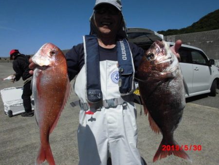 大進丸(新潟) 釣果