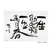 フィッシングボート空風(そらかぜ) 釣果