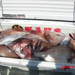 大進丸(新潟) 釣果