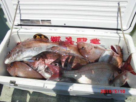 大進丸（新潟） 釣果