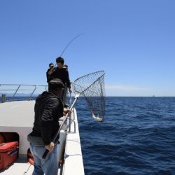 クルーズ 釣果