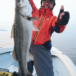 遊漁船ブルーウッズ 釣果