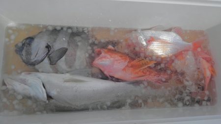 遊漁船 新鋭丸 釣果