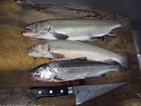 高萩ふれあいの里フィッシングエリア 釣果