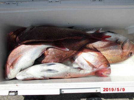 大進丸(新潟) 釣果